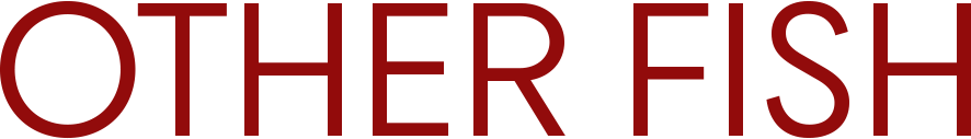 Other Fish logo